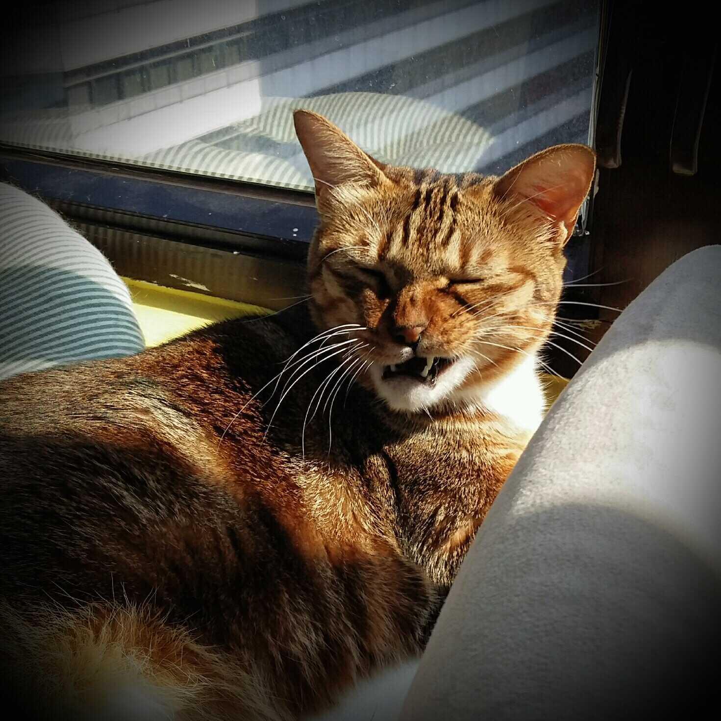 Picture of (temp-unavailable)Testing project